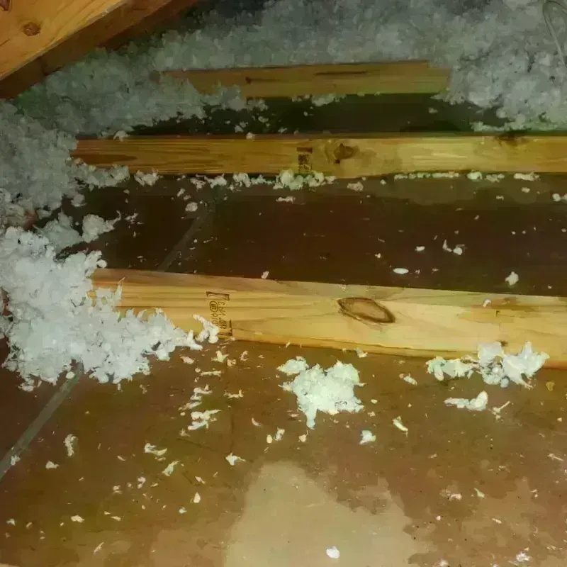 Attic Water Damage in Marion County, SC