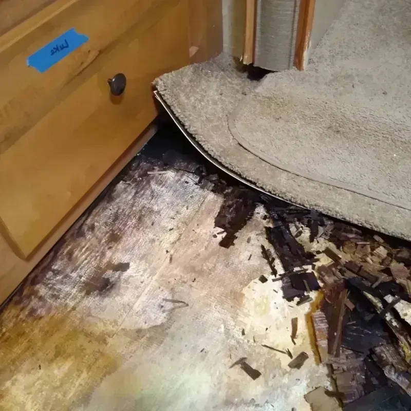 Wood Floor Water Damage in Marion County, SC